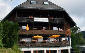 Hotel Pension am See